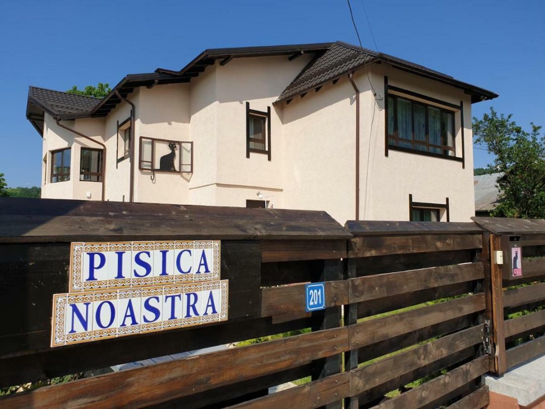 Casa Pisica Noastra